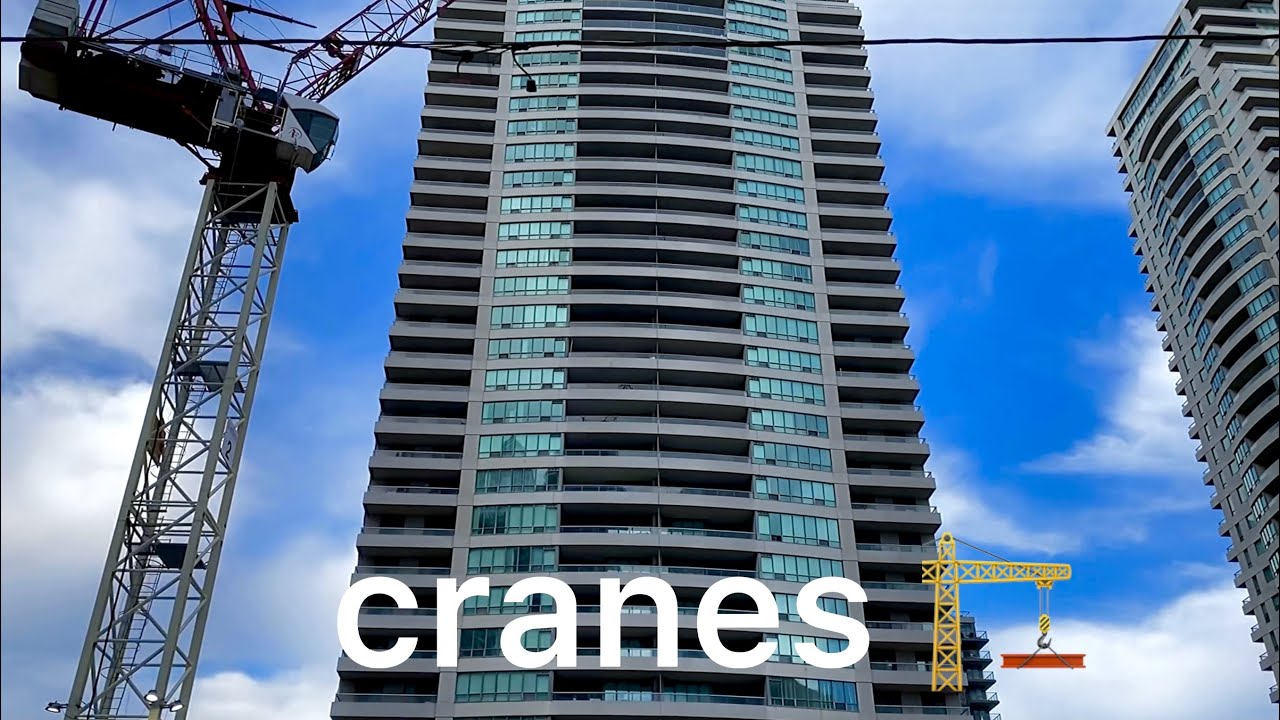Cranes For Kids | Educational Videos For Children