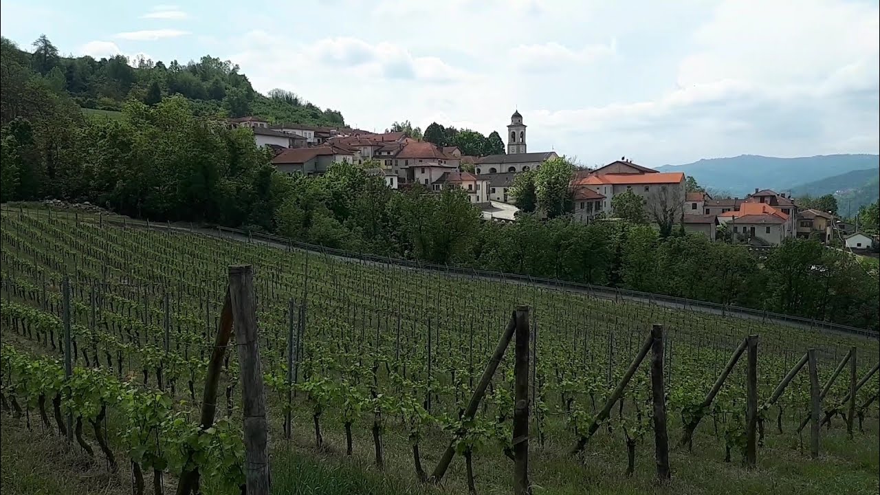 Levice.