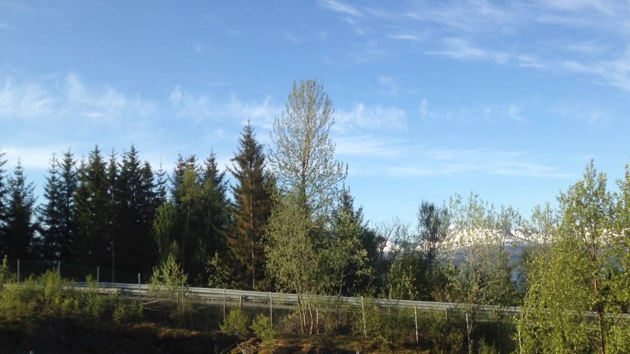 Fuglesang i Kvalv&aring;g