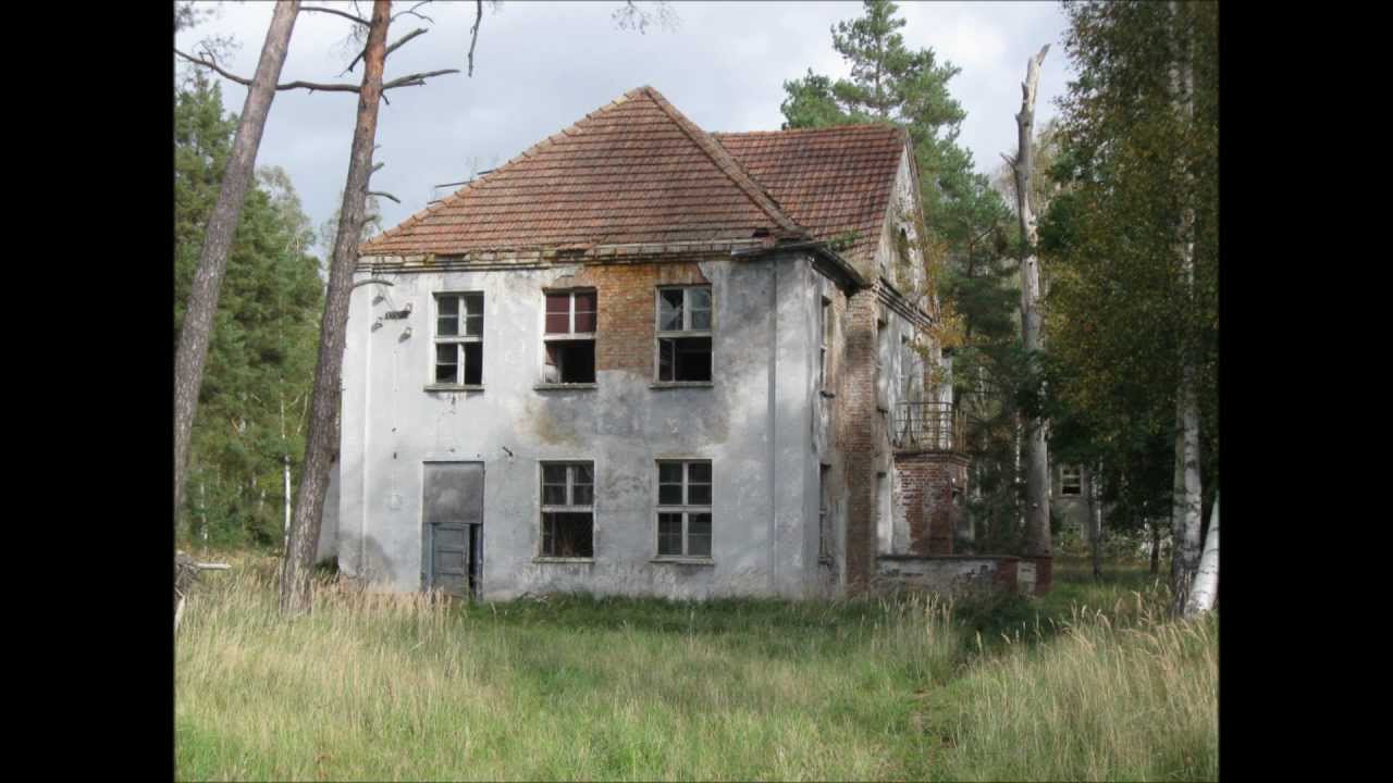 Eine Stadt im Wald