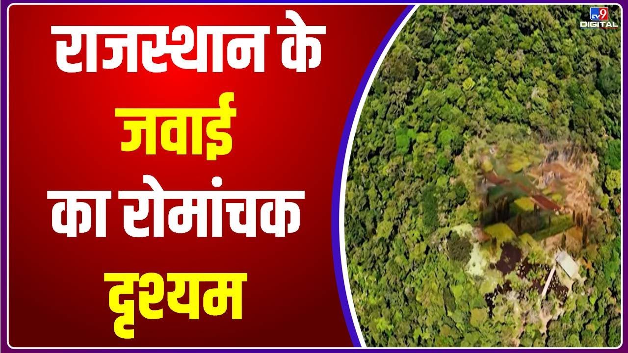 TV9 Bharatvarsh की खास पेशकश में देखिए Rajasthan के Jawai का रोमांचक Drishyam | CM Ashok Gehlot