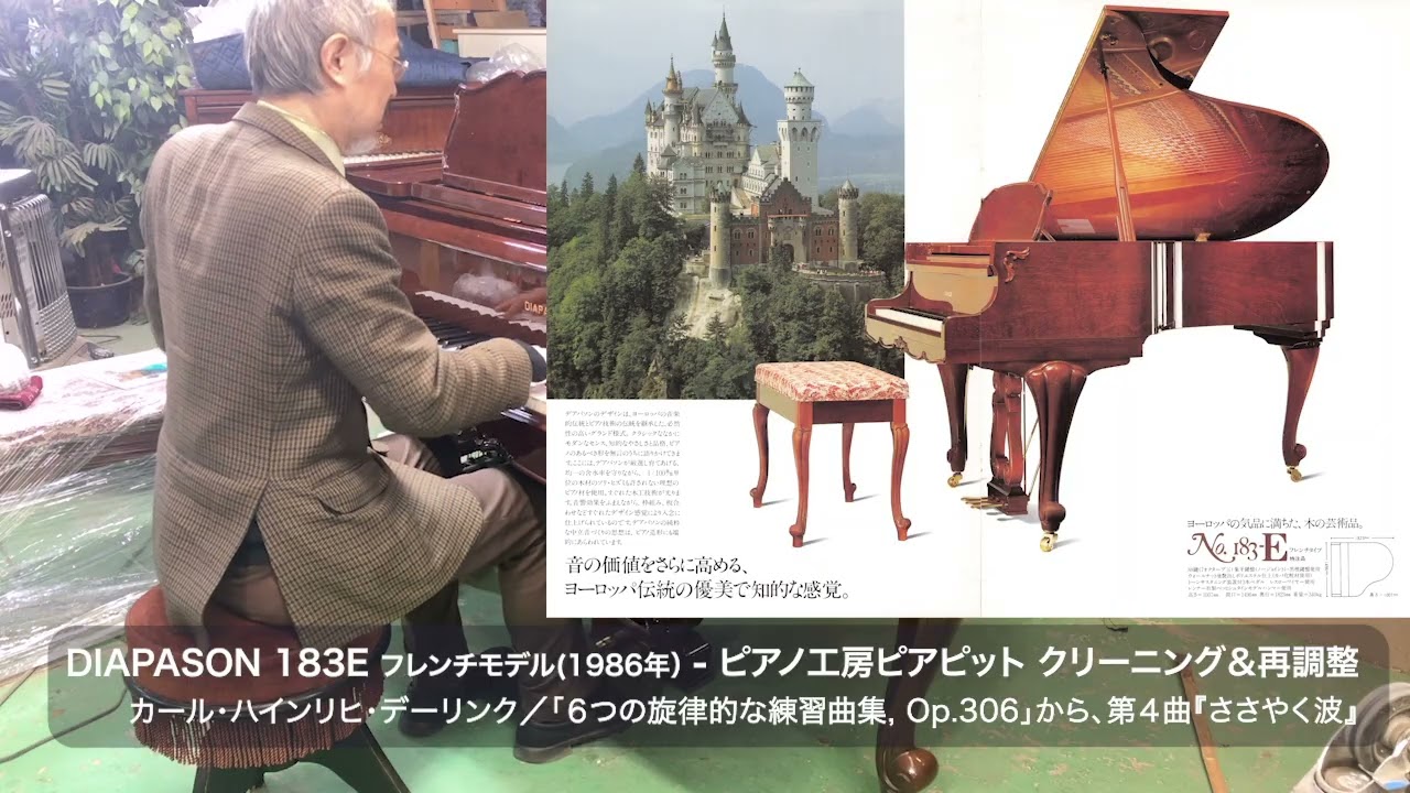 DIAPASON 183E 特注フレンチモデル 1986年製 クリーニング＆再調整（カール・ハインリヒ・デーリンク／『６つの旋律的な練習曲集, op.306』から、第４曲 ささやく波）