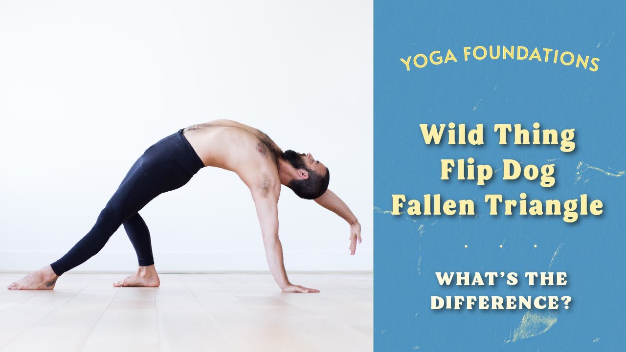YOGA FOUNDATIONS - Fallen Triangle, Flip Dog & Fallen Triangle - WHAT'S THE DIFFERENCE?