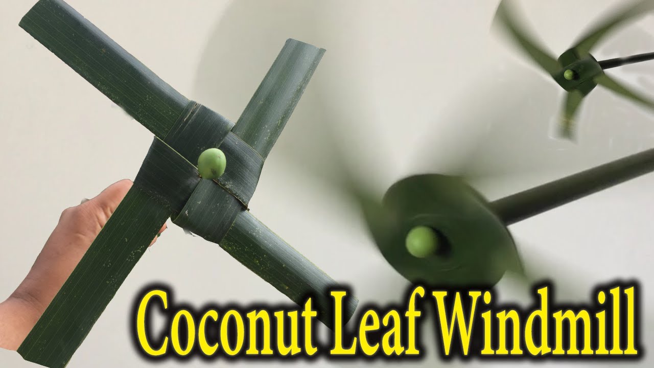 How To Make Coconut Leaf Fan |Toy Windmill Using Coconut Leaf| Windfan With Coconut Leaf |Palm leaf.