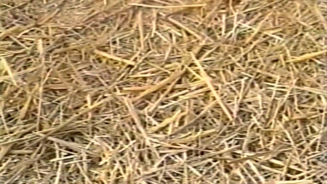 Pro-Chopper Straw and Mulch Blower | Pro Series Products