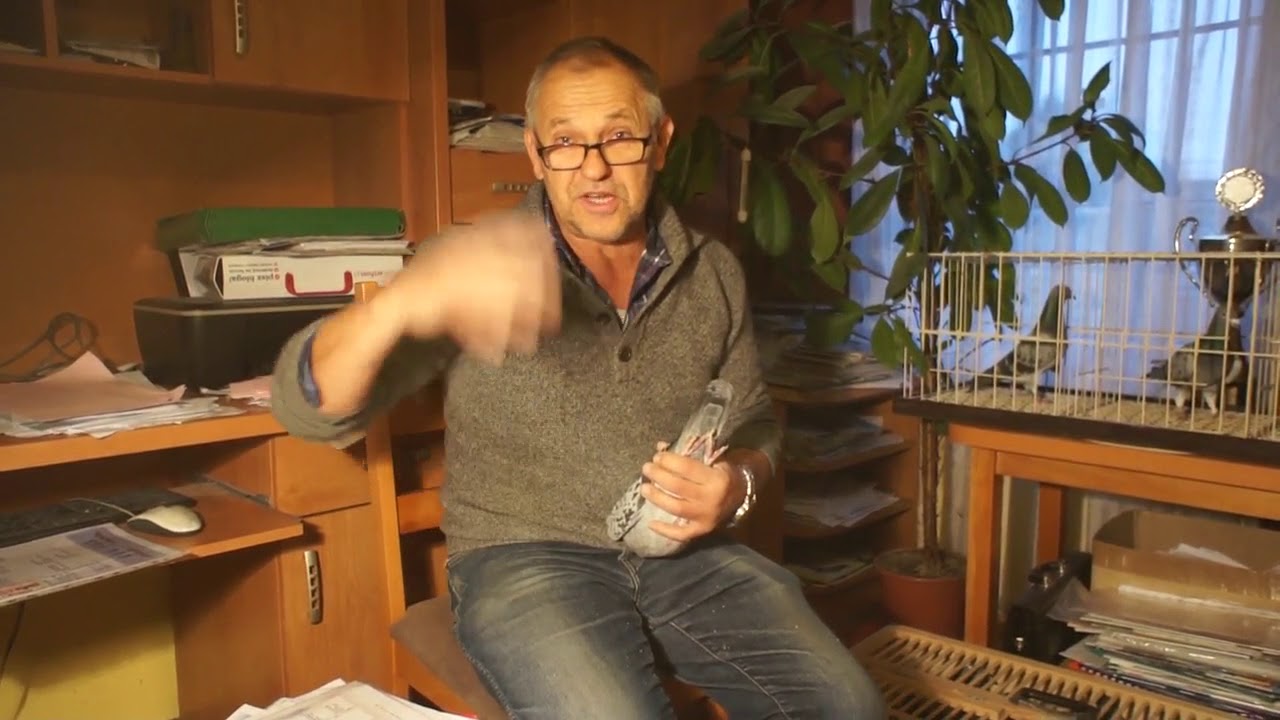 Leszek Pielesiak - Oddział PZHGP 0266 Strzelce Op. - redukcja hodowli - 05.12.2017r.