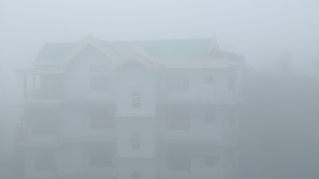 Winter morning Assam