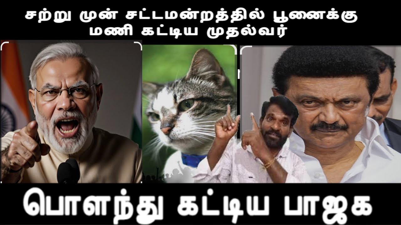 சற்று முன் சட்டப்பேரவில் பூனைக்கு மணி கட்டிய முதல்வர் பொளந்து கட்டிய பாஜக India vs dmk issue 