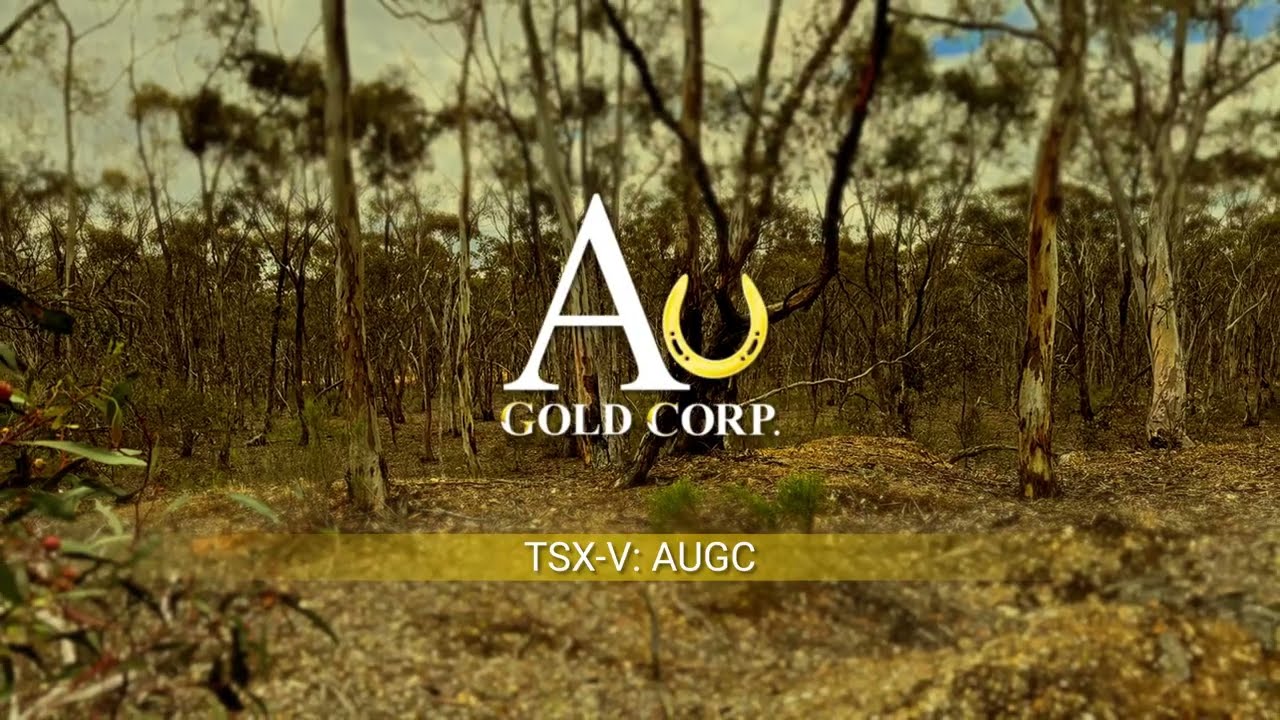 Au Gold Corp - Corporate Video (June 2026)
