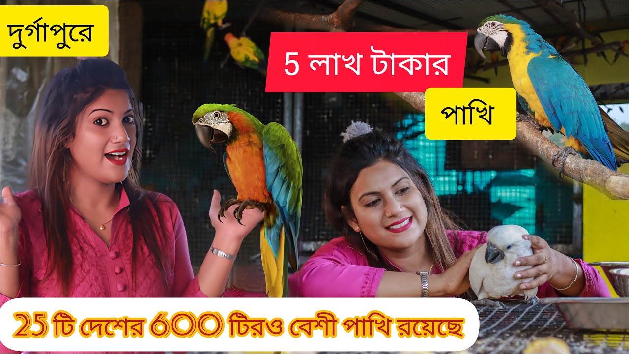দুর্গাপুরে 5 লাখ টাকার পাখি || বিদেশী পাখির ফার্ম || Foreign birds || Birds Lovers || Durgapur Times