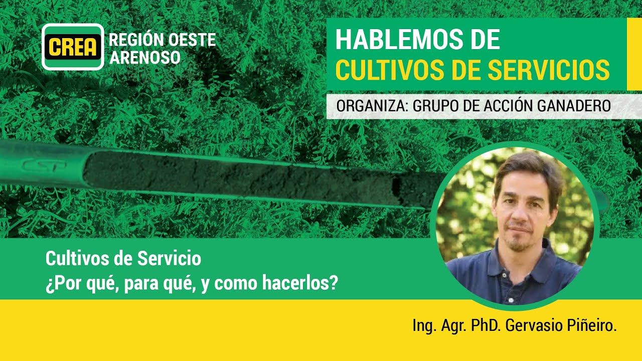 Cultivos de Servicio ¿Por qué, para qué y cómo hacerlos?