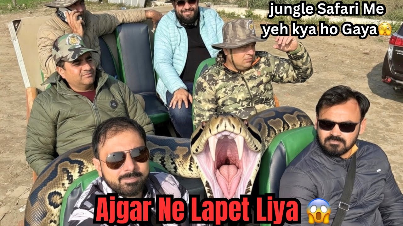 😱 शाम की सफारी में GIANT AJGAR का करीबी एनकाउंटर! | Pilibhit Tiger Reserve Evening Adventure 🔥