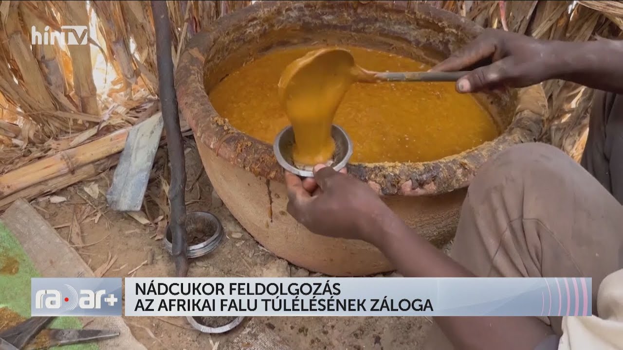 Nádcukor feldolgozás az afrikai falu túlélésének záloga - HÍR TV+