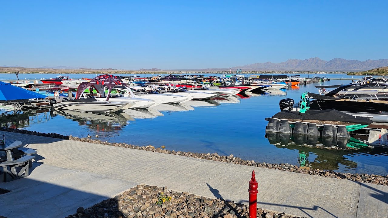 Super Cat Fest Morning Docks
