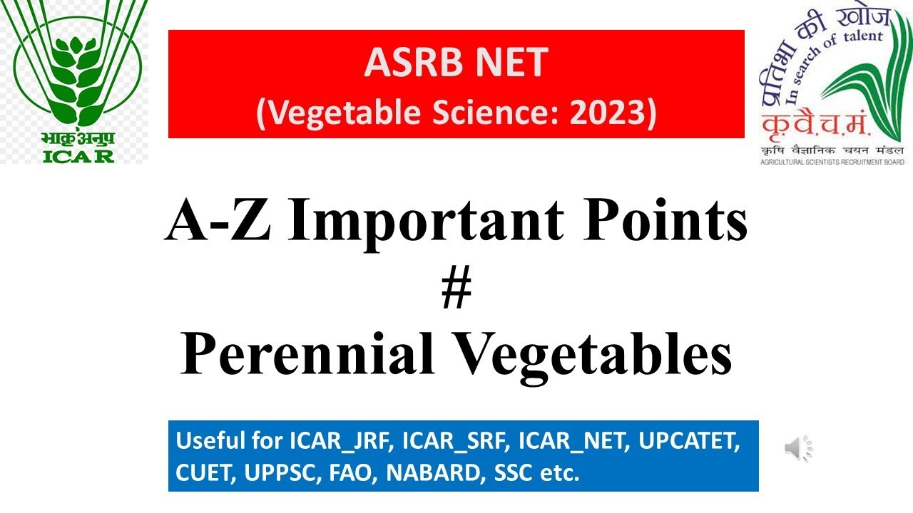 Most Important Points 