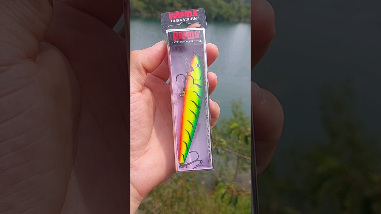 RAPALA HUSKY JERK🔥🎣  #fishing #lure #lures #lurefishing #rapala #rapalafishing #fishingvideo #short