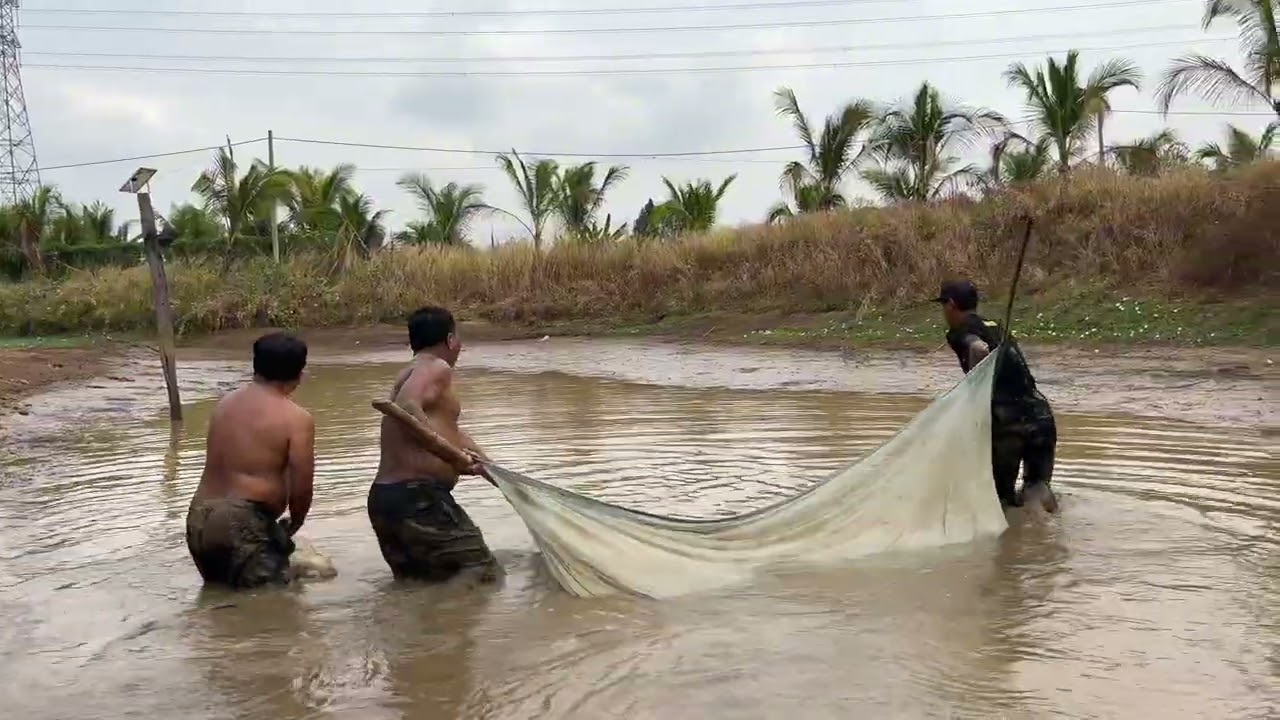 Hành trình đi bắt cá ở quê tôi 