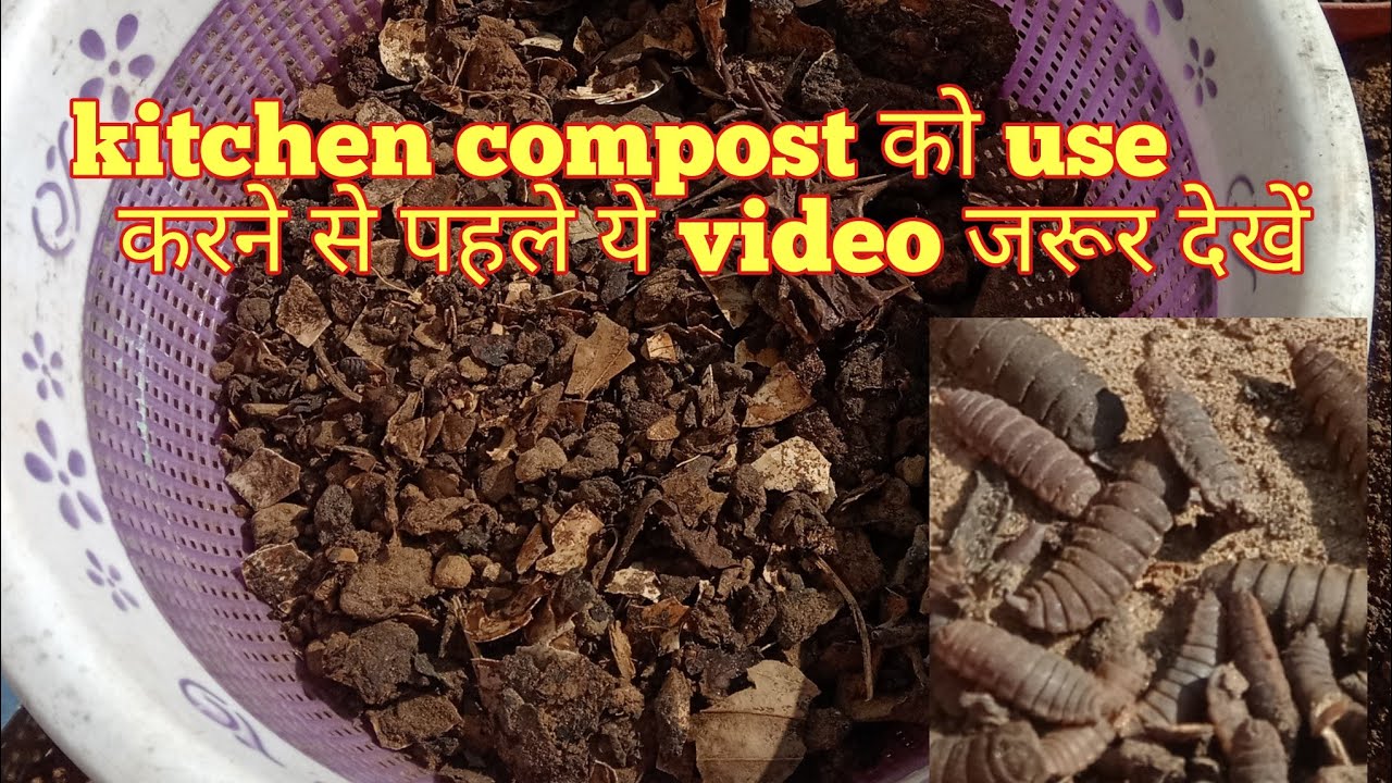 kitchen compost को इस्तेमाल करते समय आप भी ये गलती तो नही करते || Kitchen compost best use