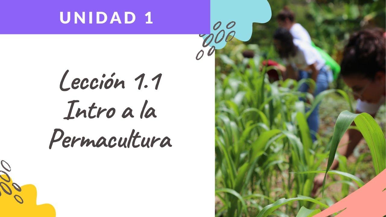 Unidad 1: Lección 1.1: Introducción a la Permacultura