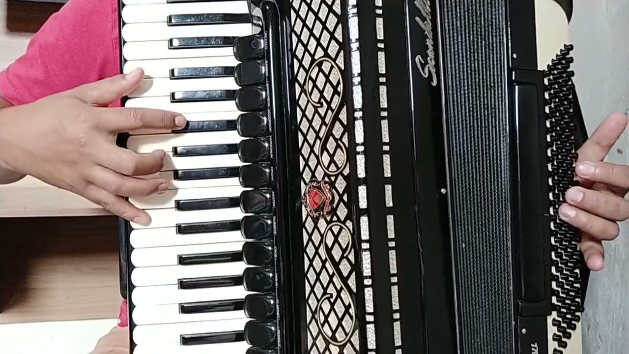 Vídeo Aula Acordeon 