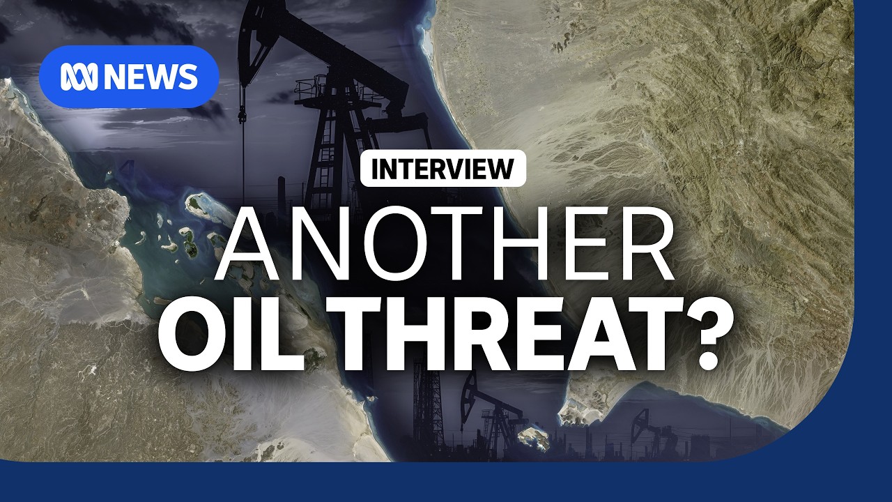 How important is it to keep the Bab el-Mandeb Strait open? | The Business | ABC NEWS