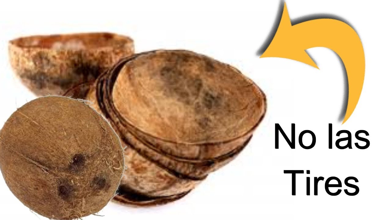 Manualidades con cascaras de coco Ideas fáciles Reciclaje creativo