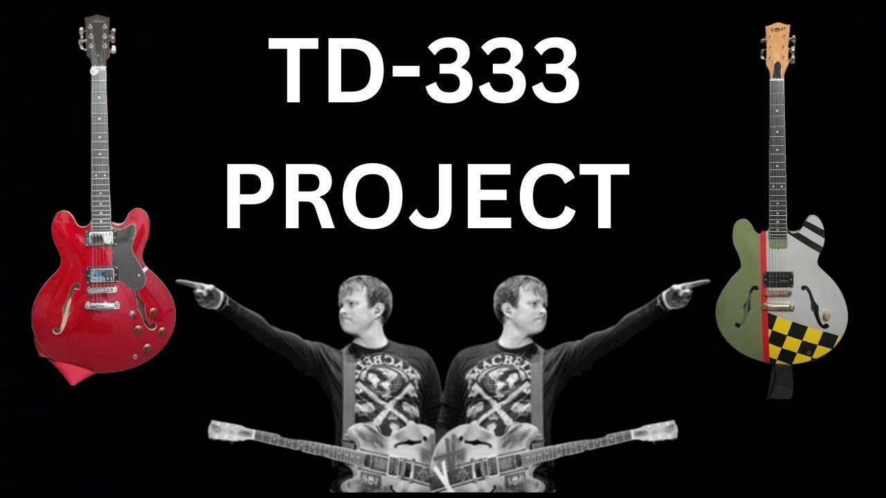 Blink 182 Tom Delonge Guitar Project Build TD ES-333