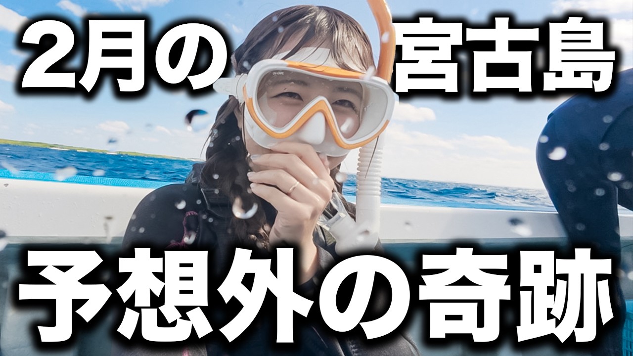 【2月の宮古島】真冬の海で、まさかの体験…予想が完全に外れました🔥行って分かったリアルな現実と楽しみ方を話します🌺