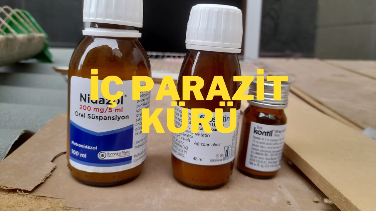 Güvercinlerde İç Parazit Mantar Pamukçuk Ve Mevsim Geçişi  Kür Uygulaması .