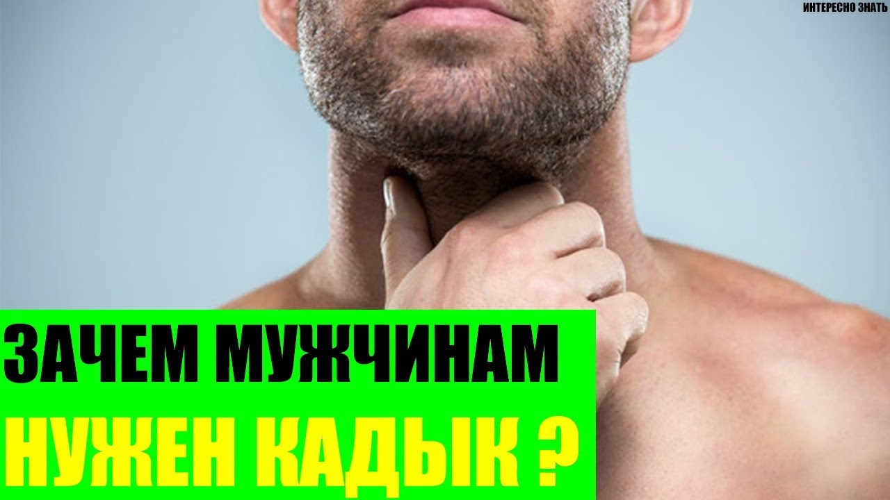 Зачем мужчинам нужен кадык?
