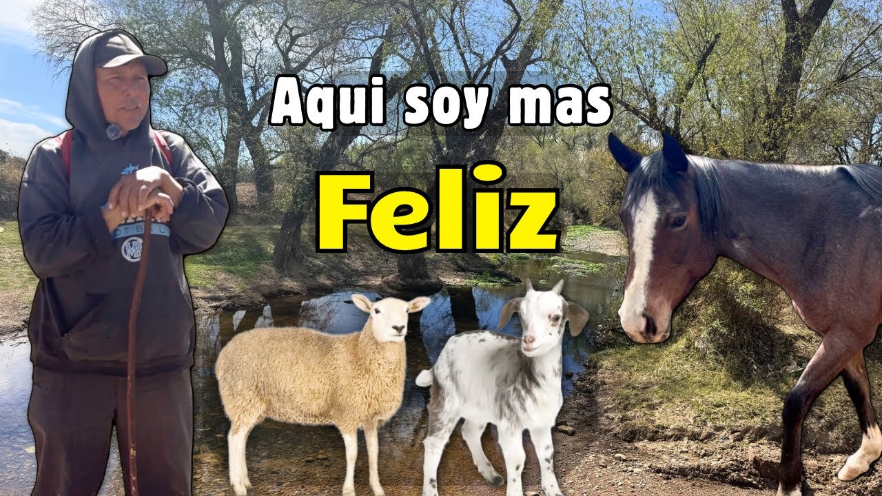 Entre el río y el monte: así cuido mis animalitos