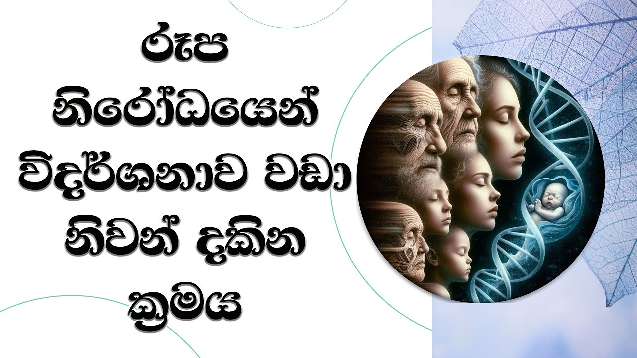 රූප නිරෝධයෙන් විදර්ශනාව වඩා නිවන් දකින ක්‍රමය..Most Ven. Mankadawala Sudassana Thero
