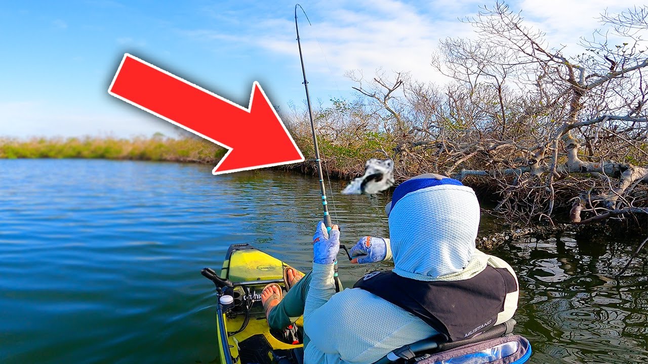 Kayak Fishing for BIG Snook! (Boca Grande, Florida)