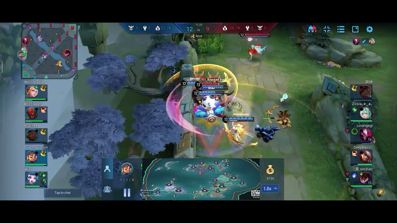 CHICHA and ERIN combo HOK
