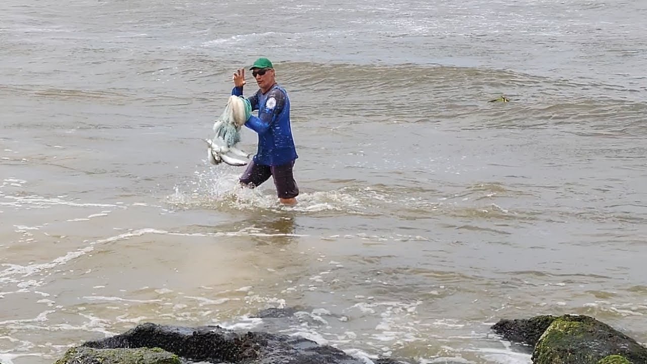 Pesca de tarrafas, 07-02-24, Bico da Pedra, Imbé, RS. #pescadetarrafas #netfishing #mulletfish