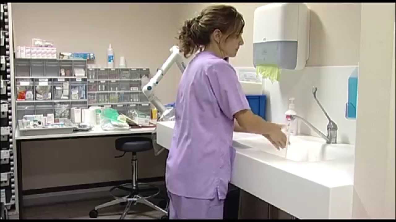 Actuaciones de Bacteriemia y Neumonía Zero | Cecova TV