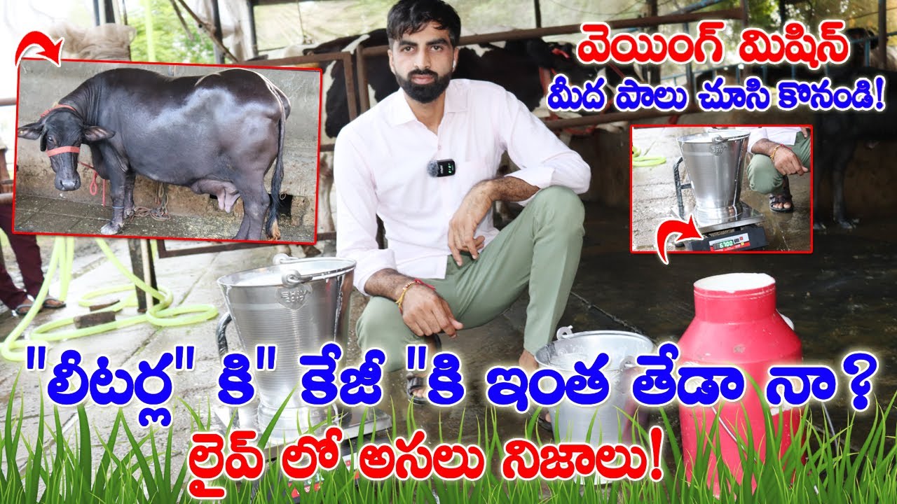 లీటర్ల