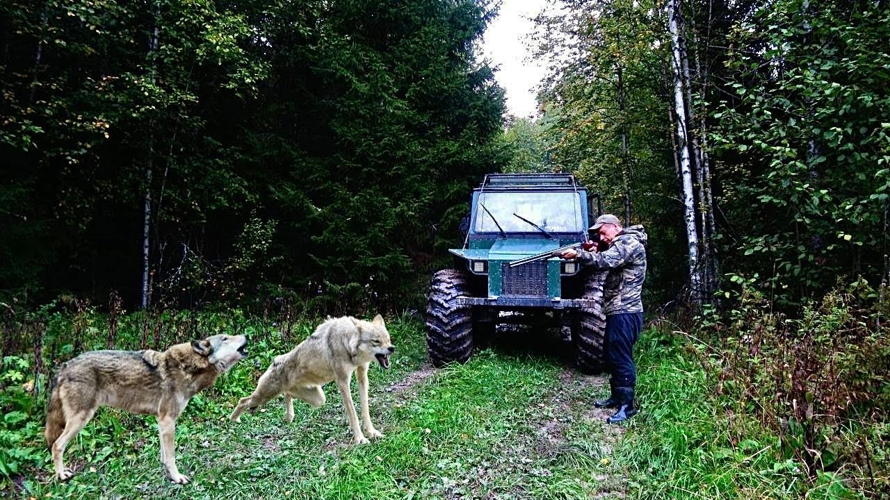 СТАЯ ВОЛКОВ ОКРУЖИЛА В ЛЕСУ! ПО-ВСЮДУ ВОЙ! САМЫЙ ОПАСНЫЙ ДЕНЬ В ЖИЗНИ! СПАСАЮСЬ В ТАЁЖНОЙ ИЗБЕ!