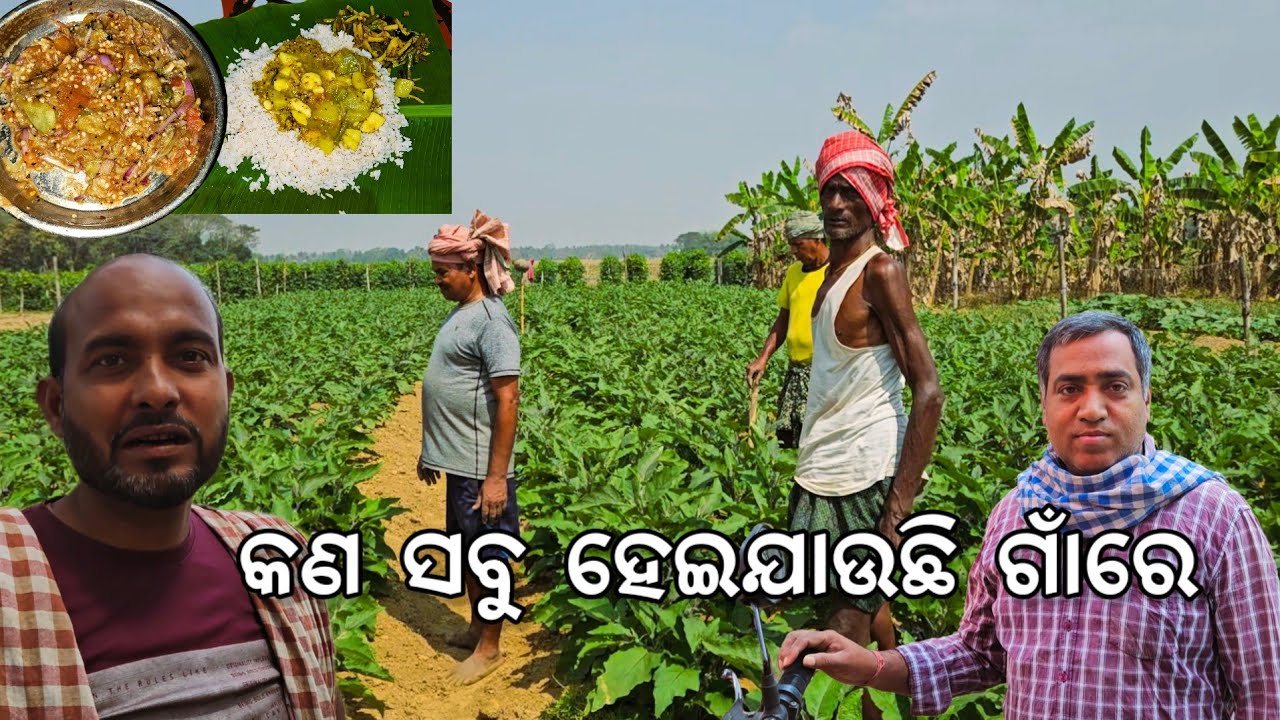 କଣ ସବୁ ହେଇଯାଉଛି ଗାଁରେ l ମାଟ୍ରିକ ପରୀକ୍ଷା l Gouranga Nayak Odia Vlogs 