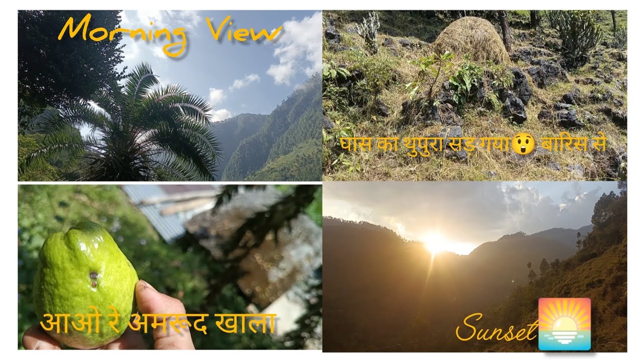 असोज के महीने मेंकाम काम काम☹️खतम ही नहीं होते#video #phadilifestyle #vlog #villagelife #uttakhandi 