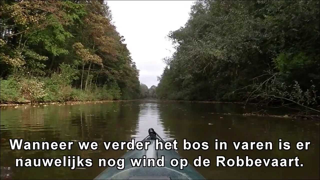 Herfsttocht Kajak Robbenoordbos
