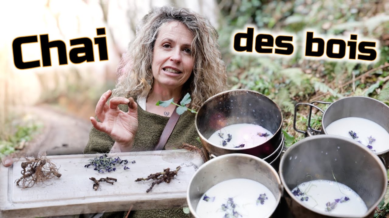🍵🔥 Chai Sauvage : Découvrez Cette Recette avec Pissenlit, Benoîte et Polypode !