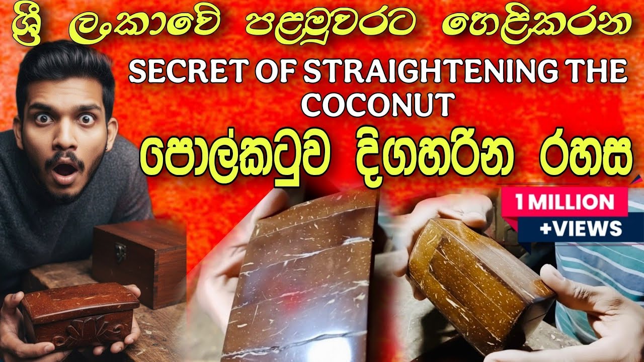 පොල්කටුව දිගහරින රහස 😮😱🌷 Straightening the coconut shell ,#coconutcraft  #craftideas #පොල්කටු