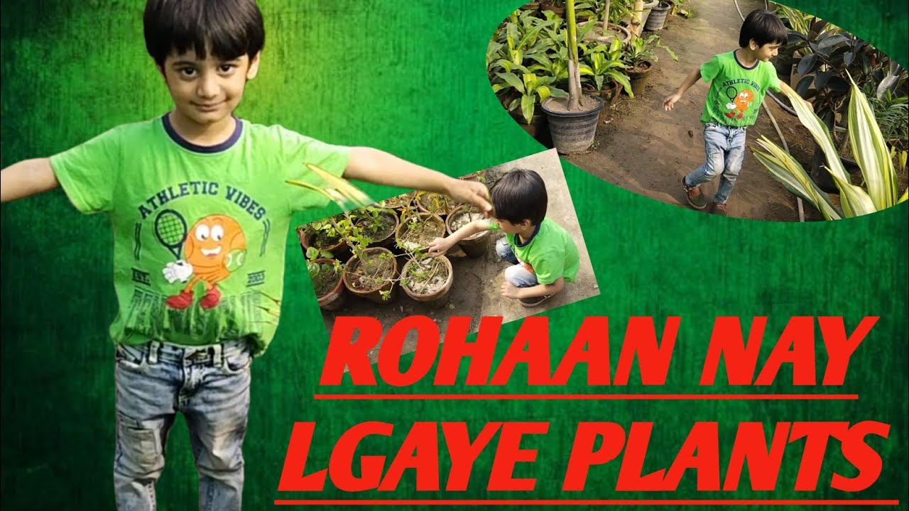 Growing Plants | Rohaan's Vlogventure | Lifestyle with Rohaan 2023