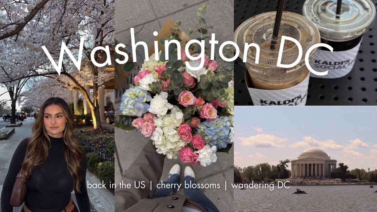 Weekend Vlog: Washington DC, Cherry Blossoms, Back in the States! | Mary Skinner