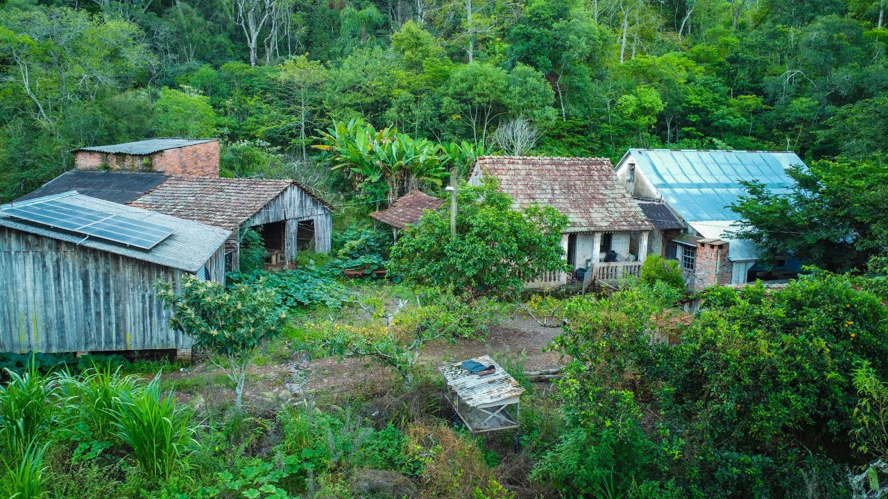 TIVERAM QUE ABANDONAR ÀS PRESSAS A CASA ONDE VIVERAM A VIDA TODA!