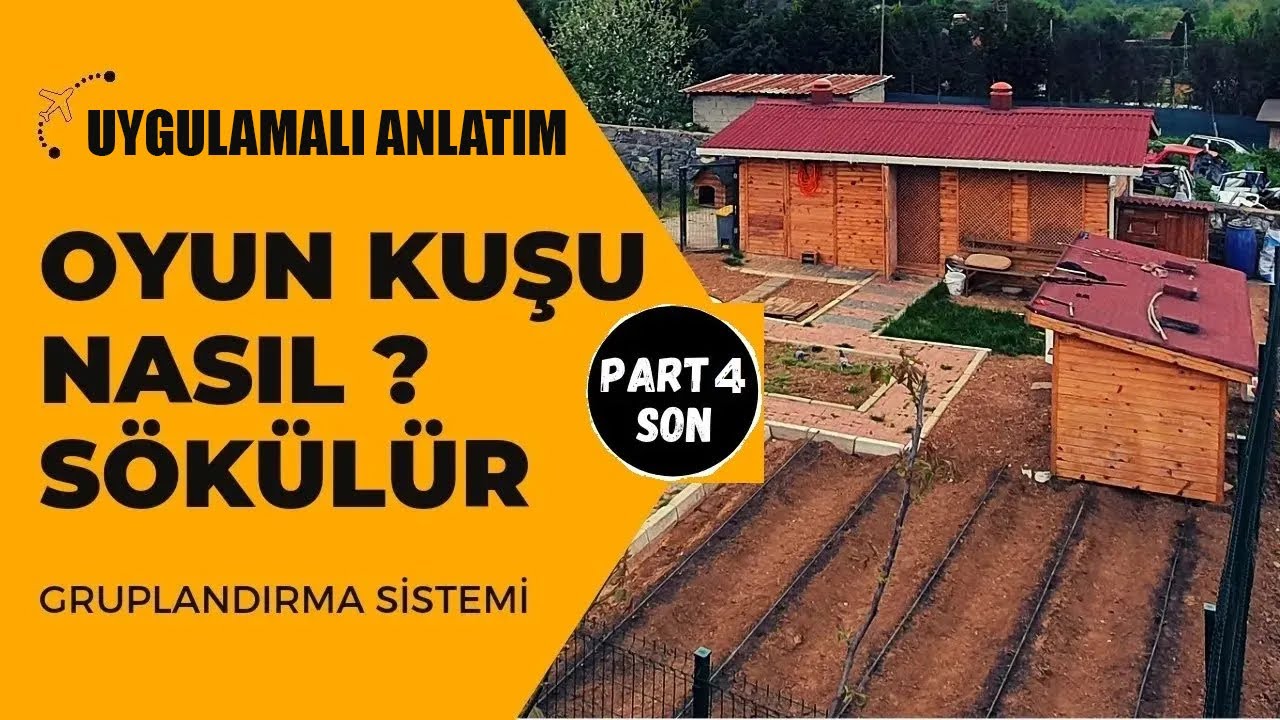 Oyun Kuşu Nasıl Sökülür Uçurulur Nefeslendirilir ve Gruplandırılır Part 4