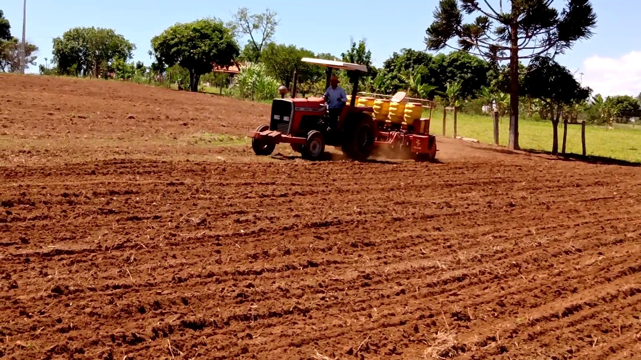 MF 265 plantando soja