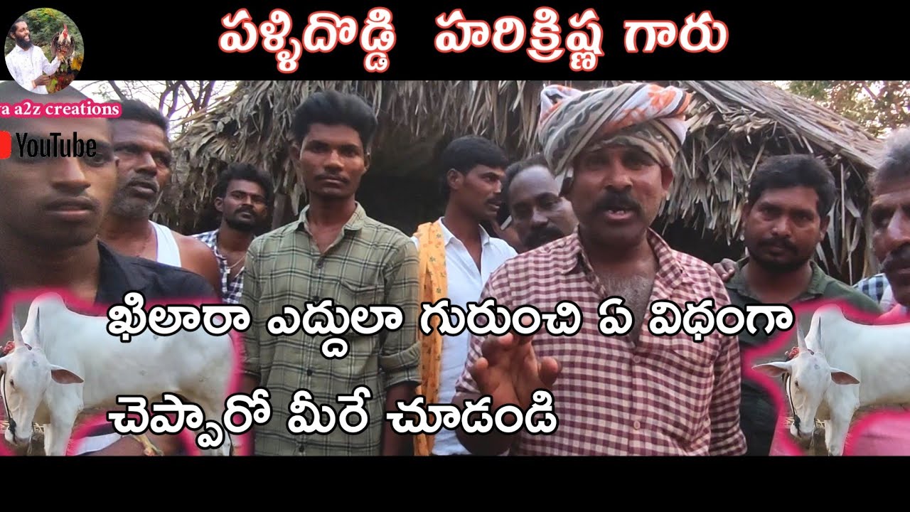 పళ్ళిదొడ్డి హరిక్రిష్ణ గారు చెప్పిన మాటలు //Khillar about good Khilara calves Pallidoddi Harikrishna