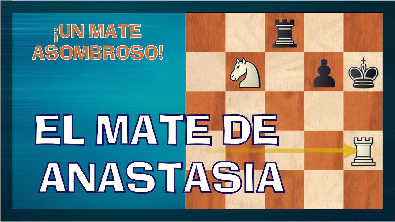 El MATE de ANASTASIA 🤩 | Una RED de MATE TÍPICA 🧐